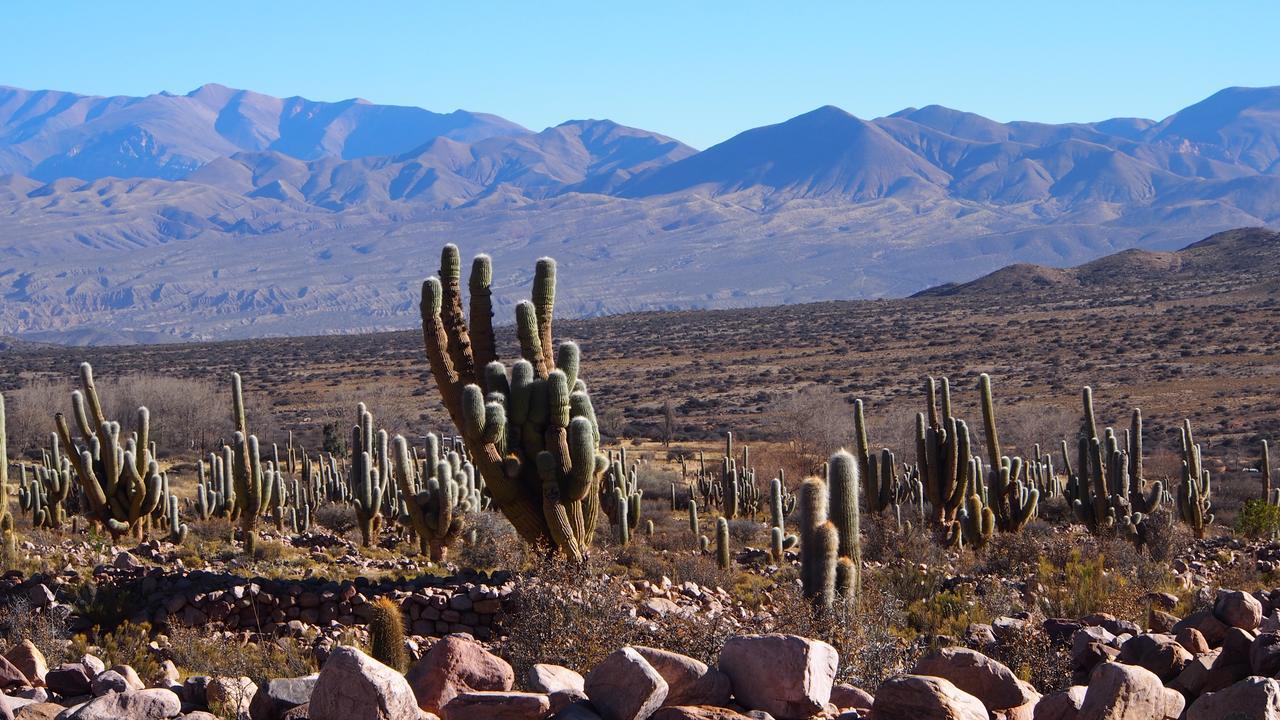 Ostello Inti Sayana Humahuaca Esterno foto