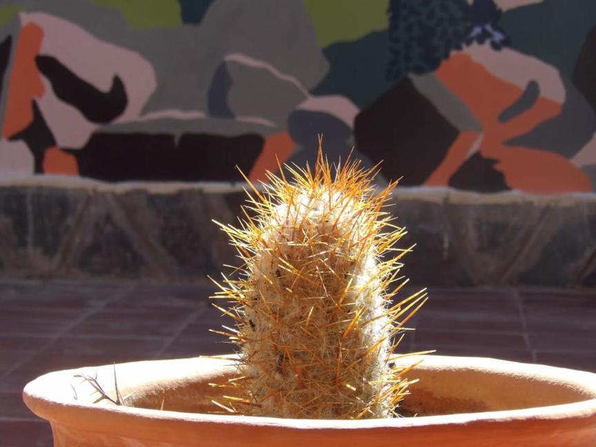 Ostello Inti Sayana Humahuaca Esterno foto